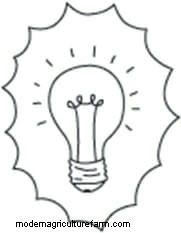 How To Grow a Winter Kitchen Garden