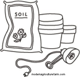 How To Grow a Winter Kitchen Garden