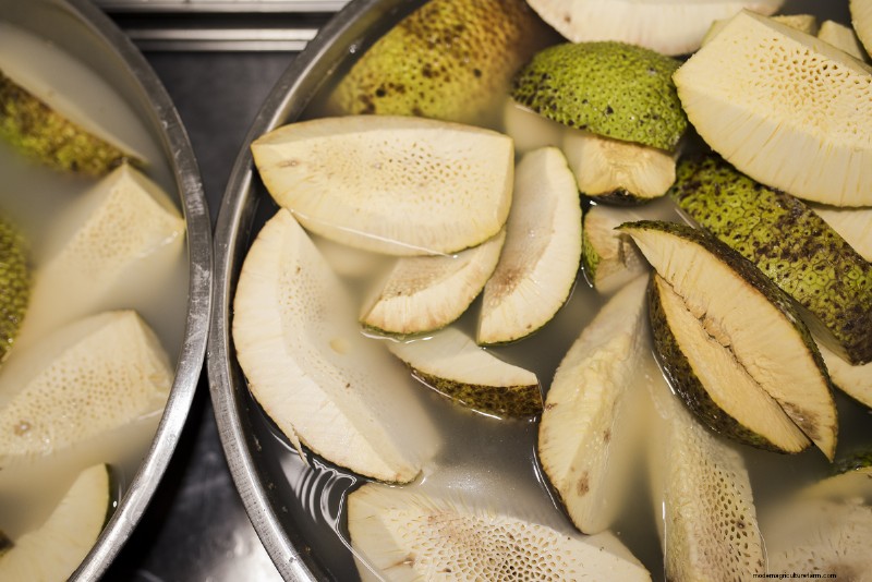 Mending Hawaii’s Lack of Food Security Through Breadfruit