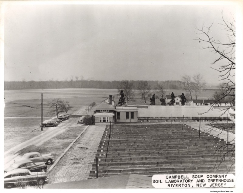 The Legacy of Campbell Soup’s Tomato Breeding Program