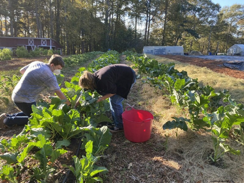 The Prison Garden Empowering Women to Pursue Growth