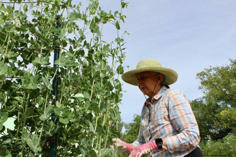 How a Desert Town Is Growing Its Way to Better Health