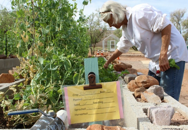 How a Desert Town Is Growing Its Way to Better Health