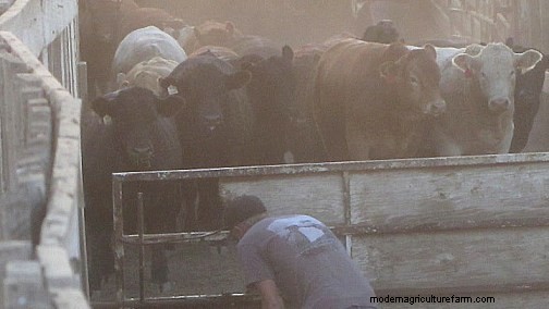 Get Rid of Solid-Sided Handling Facilities