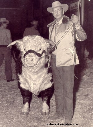 Breeding Matters III – Inbreeding vs. Line Breeding