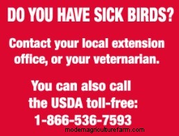 Avian Flu – Coming to a Hen House Near You?