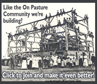 Body Condition Scoring For Goats