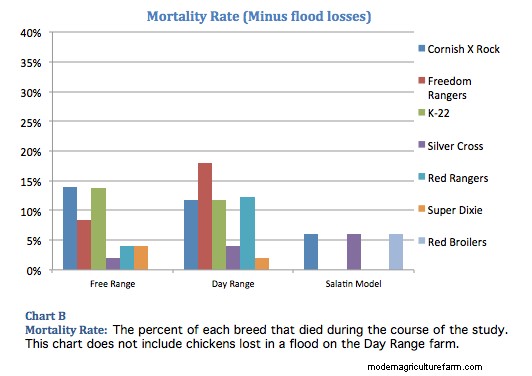 What Chicken Should I Raise?