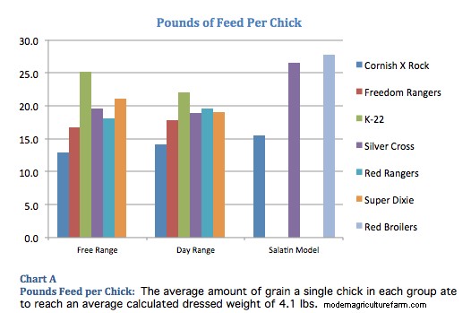What Chicken Should I Raise?
