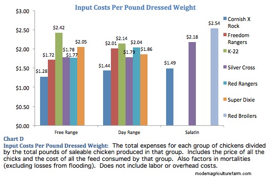 What Chicken Should I Raise?