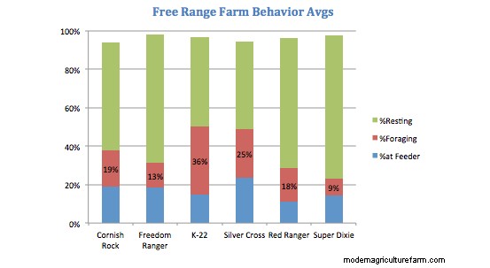 What Chicken Should I Raise?