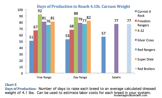 What Chicken Should I Raise?