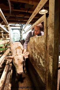 Don’t Feed Them to Breed Them