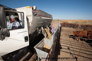 Don’t Feed Them to Breed Them