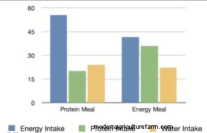 Cattle and Bison are Better Than You At Feed Mixing