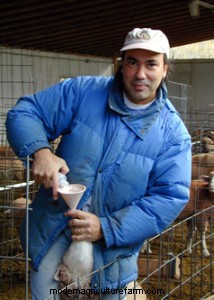 Can Animals Learn to Prevent Bloat?