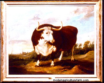 From Big to Small to Big to Small: A Pictorial History of How We’ve Changed What Cattle Look Like