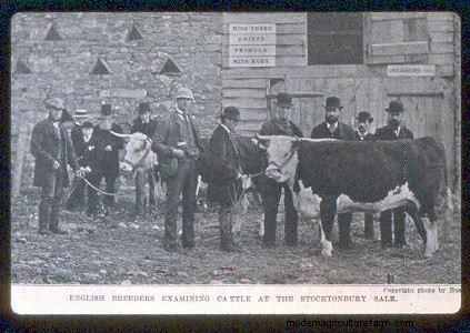 From Big to Small to Big to Small: A Pictorial History of How We’ve Changed What Cattle Look Like