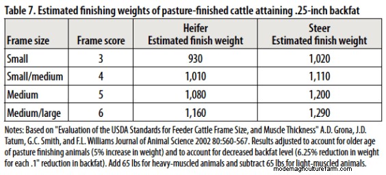 Is Your Beef Finished? Use Frame and Body Condition Score to Find Out