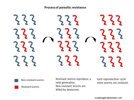 Regain Genetic Parasite Resistance