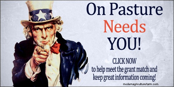 Treating Parasites in Small Ruminants