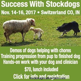 How to Amplify Instincts in Your Working Dogs