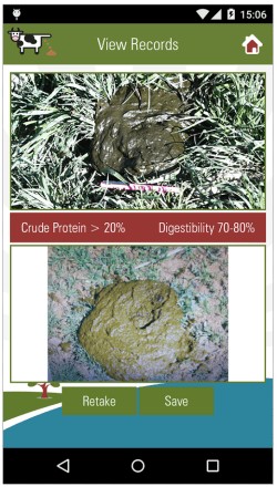 Cow Poop Analyzer App Estimates Forage Quality