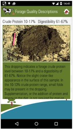 Cow Poop Analyzer App Estimates Forage Quality