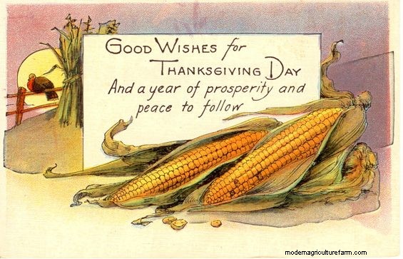 Here’s How Seven Sons Farm Manages Pigs On Pasture