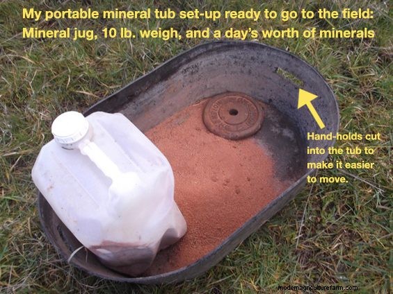 A “Keep-It-Simple” Method for Getting Minerals to Your Herd