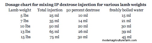 How to Save Hypothermic Lambs