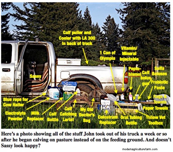 Prepping for Calving Season