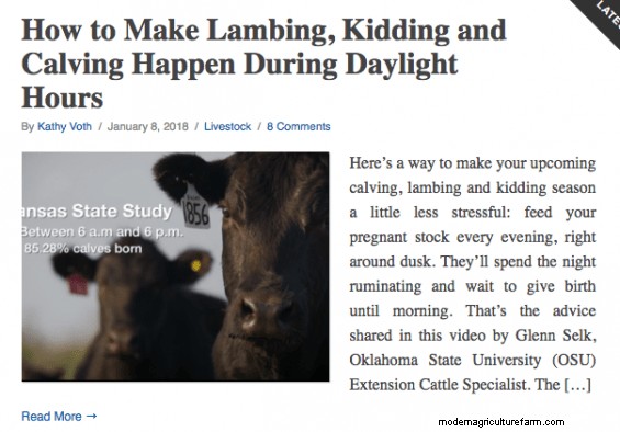 Prepping for Calving Season