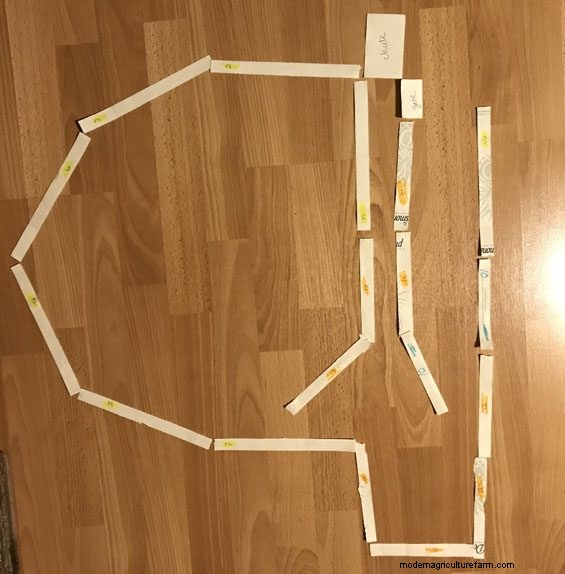 Outsmarting Wild Cattle Part 3