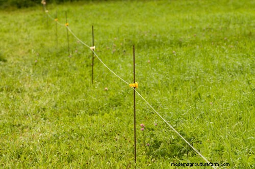 Teaching Livestock to Respect Electric Fences