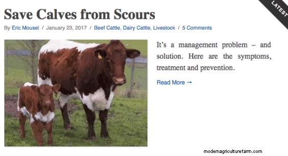 Calf Scour Management