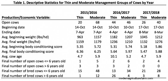 Is There a Way to Maximize the Value of Your Cull Cows?
