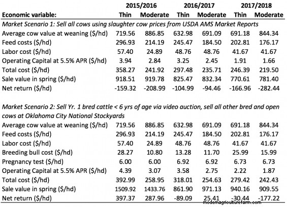 Is There a Way to Maximize the Value of Your Cull Cows?