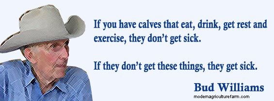 Low-Stress Management Improves Post-Weaning Calf Health