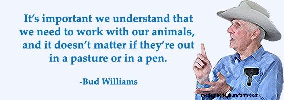 Low-Stress Management Improves Post-Weaning Calf Health