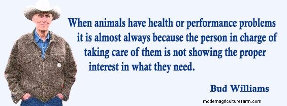 Low-Stress Management Improves Post-Weaning Calf Health