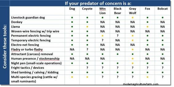 What Happens If We Don’t Kill Predators?