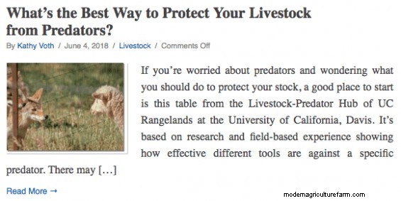 What Happens If We Don’t Kill Predators?