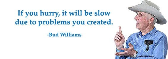 Gathering Cattle – These Techniques Make It Much Easier