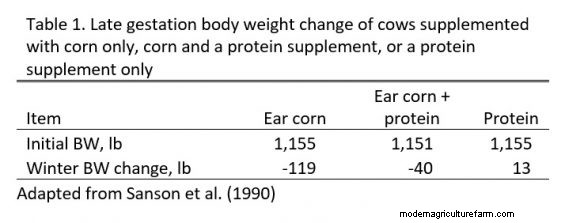 Managing Cow Nutrition as We Head Into Calving Season