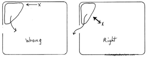 Easy Techniques for Turning Cattle and Moving Them Out of Corners
