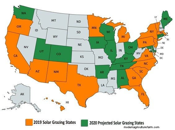 Solar Grazing: A New Income Stream for Livestock Producers