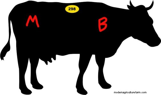 Answers to the Bovine Art Pop Quiz