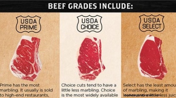 Grass-Finishing Myths that Reduce Profitability