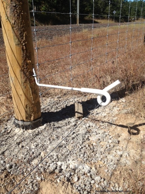 Grazing Pigs – Fencing Tips